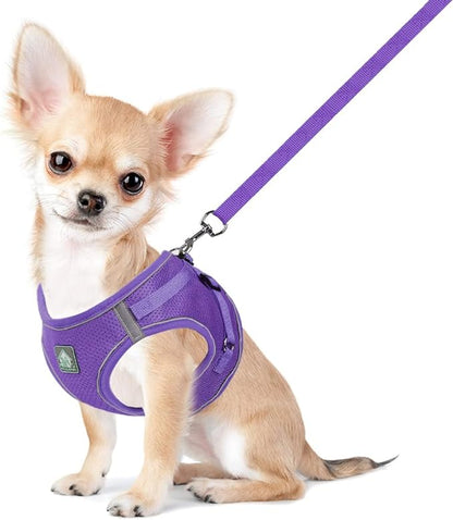 FEimaX Dog Harness and Leash Set, No-Pull Breathable Soft Mesh Puppy Vest Harness Reflective Adjustable Pet Harnesses for Small Medium Dogs and Cats - Outdoor Easy Control for Walking (M, Purple)