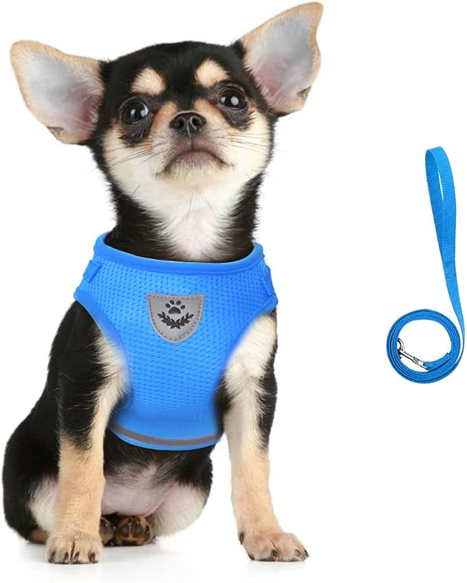 FEimaX Dog Harness and Leash Set for Walking, Soft Mesh Adjustable Easy Control Lightweight Cat Vest Harnesses with Reflective Strips, Escape Proof Small Dogs Cats Vests (Azure, Large)