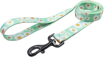 Dog Collar Leash Set, Floral Pattern, Polyester Material, Adjustable Collar and 5ft Matchcing Leash, for Puppy Dogs.(XS, Light Green Daisy)