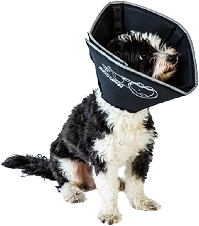 All Four Paws Comfy Cone Pet Cone for Dogs, Cats, Medium, Black - Comfortable Soft Dog Cone Collar Alternative for After Surgery, Wound Care, Spay, Neuter - Dog and Cat Recovery Elizabethan-Collar
