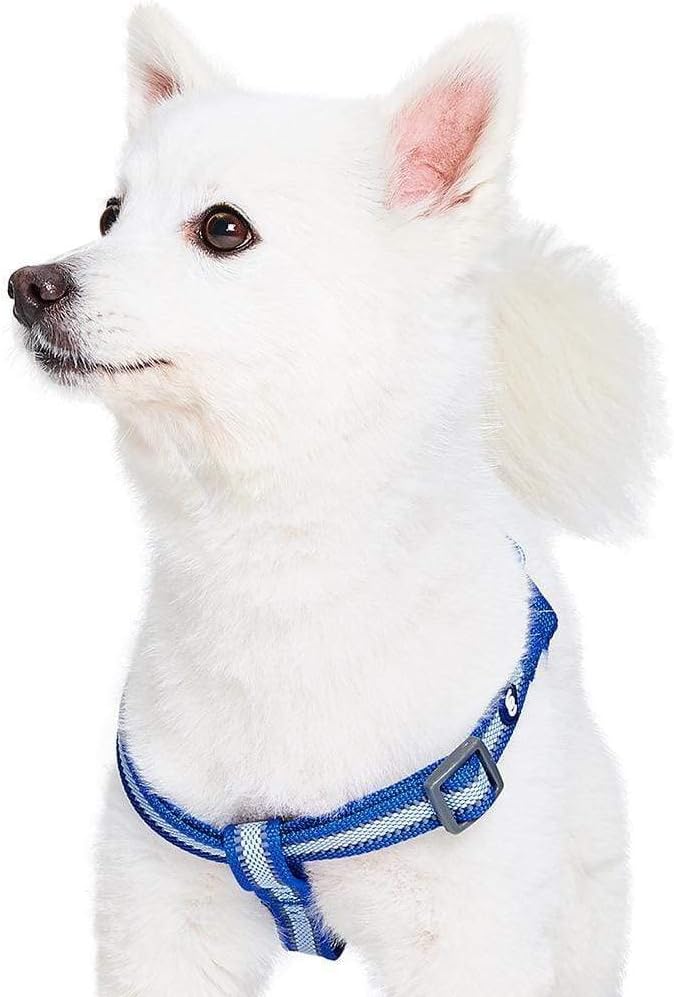 Blueberry Pet Essentials Reflective Back to Basics Matching Dog Harness and Leash Set, Navy Blue, Adjustable Harness with 5 ft Leash for Medium Dogs