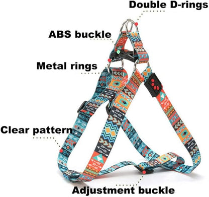 Dog Harness and Leash Set, Pretty Pattern No-Pull Pet Halter Puppy Vest Outdoor Easy Walk for Small Medium Large Breed Pug Bully Mastiff Dogs Female Male, Ethnic L
