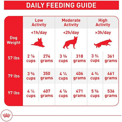 Royal Canin Size Health Nutrition Large Adult Dry Dog Food, 4 lb Bag