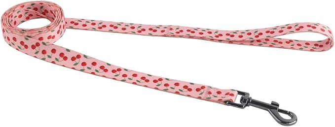 Harness and Leash Set, Floral Pattern, 5ft Matching Leash, No Pull, Easy Wear for Small Puppy Dogs.(XS, Pink Cherry)