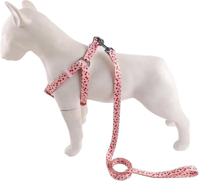 Harness and Leash Set, Floral Pattern, 5ft Matching Leash, No Pull, Easy Wear for Small Puppy Dogs.(XS, Pink Cherry)