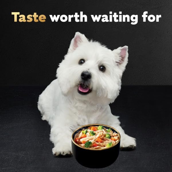 Cesar Warm Bowls Wet Dog Food Roasted Chicken Entree with Sweet Potatoes & Broccoli in Broth, Wet Food for Dogs, 2.7 oz. Bowls, 10 Count
