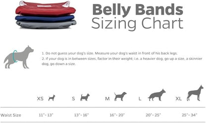 Pet Parents® Washable Belly Bands for Male Dogs (3pack) + Extendrs® of Durable Dog Diapers Male, Premium Male Dog Diapers & Dog Wraps (Large, Kingsmen)