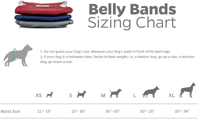 Pet Parents® Washable Belly Bands for Male Dogs (3pack) + Extendrs® of Durable Dog Diapers Male, Premium Male Dog Diapers & Dog Wraps (Medium, Kingsmen)