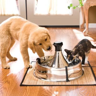 I LOVE MY PETS LLC Urinary Tract Infection Supplements for Dogs - PET Urinary Tract Support - Dogs and Cats - UTI Relief Complex - Corn Silk Dogs - 180 Treats (2 Bottles)