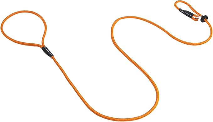 Dog & Field Signature Slip Lead for Dogs, Orange. 4ft Lightweight Dog Slip Leash with Sliding Rubber Stopper. Training Lead for Dogs, Thin Slip Lead, No Collar or Harness Needed (Orange)