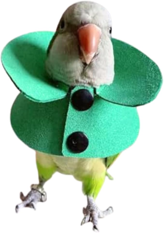 Pet Parrot Anti-bite Elizabethan Collars, Anti-Grab Feather Plucking Wound Healing Safety Recovery Collar Cones for Budgerigar Lovebird Conure Cockatiel Cockatoo Random Color (2M)