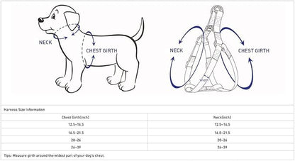Blueberry Pet Essentials Reflective Back to Basics Matching Dog Harness and Leash Set, Navy Blue, Adjustable Harness with 5 ft Leash for Small Dogs