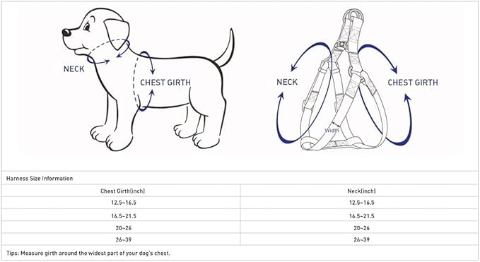 Blueberry Pet Essentials Reflective Back to Basics Matching Dog Harness and Leash Set, Navy Blue, Adjustable Harness with 5 ft Leash for Medium Dogs