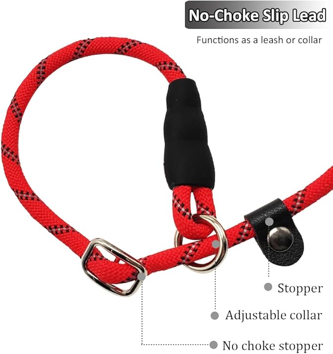 30FT Long Slip Lead Leash, Anti-Choking Reflective Training Rope Leash for Medium Dogs Small Puppy Pets (red)