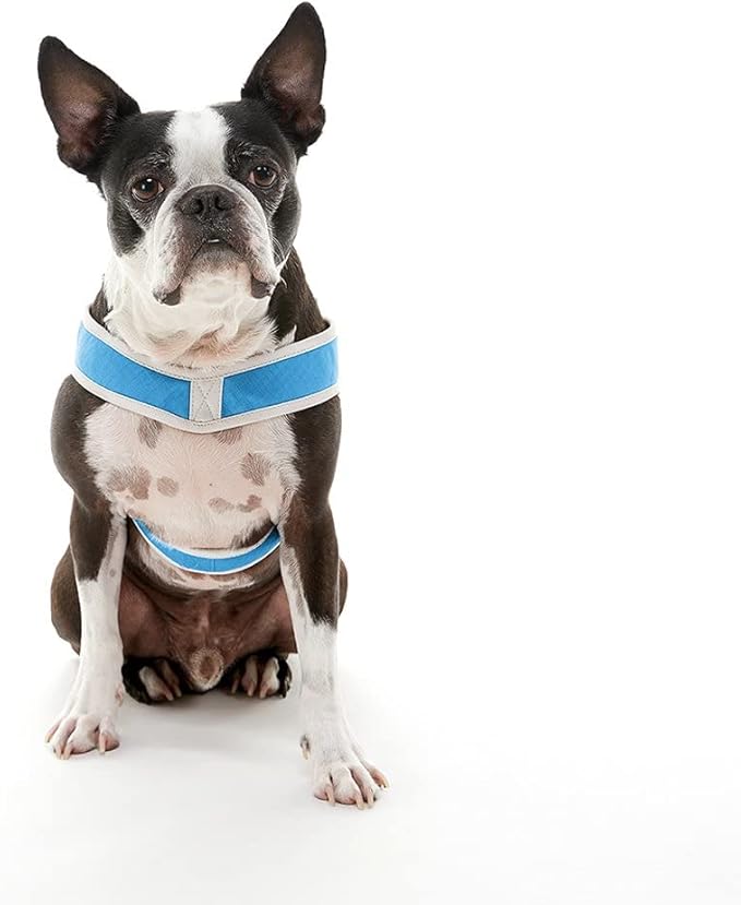 Gooby Simple Step in III Harness - Blue, Medium - Small Dog Harness with Scratch Resistant Outer Vest - Soft Inner Mesh Harness for Small, Medium Dogs