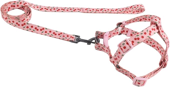 Harness and Leash Set, Floral Pattern, 5ft Matching Leash, No Pull, Easy Wear for Small Dogs.(S, Pink Cherry)
