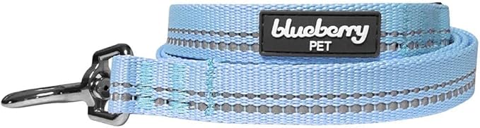 Blueberry Pet 3M Reflective Pastel Color Dog Leash with Soft & Comfortable Handle, 5 ft x 5/8", Baby Blue, Small, Leashes for Dogs