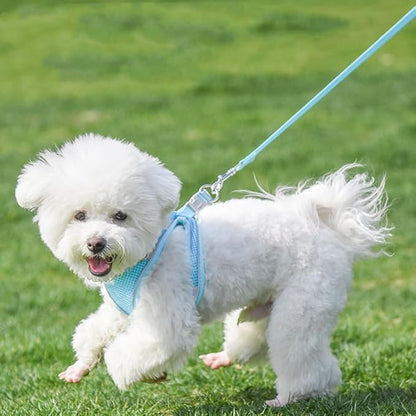 AIITLE Step in Dog Harness and Leash Set - No Pull Escape Proof Vest Harnesses with Soft Mesh and Reflective Bands, Adjustable Pet Outdoor Harnesses for Small and Medium Dogs Pure Blue M
