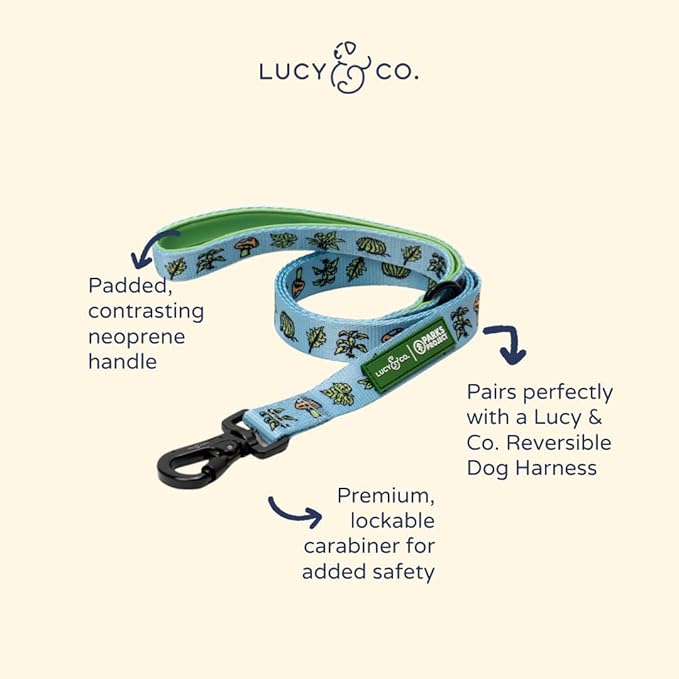 Lucy & Co. x Parks Project Feel the Earth Breath Dog Leash, Durable Matching Dog Lead with Heavy Duty Hardware, Large