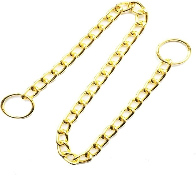 Chain Choke Collar for Dogs, Metal Slip Link Training Heavy Duty Dog Collar Martingale Puppy Collars for XXS XS Small Medium Large Big XL Breed Dogs (Gold, XS(Neck Max 12inch) D2.0mm)