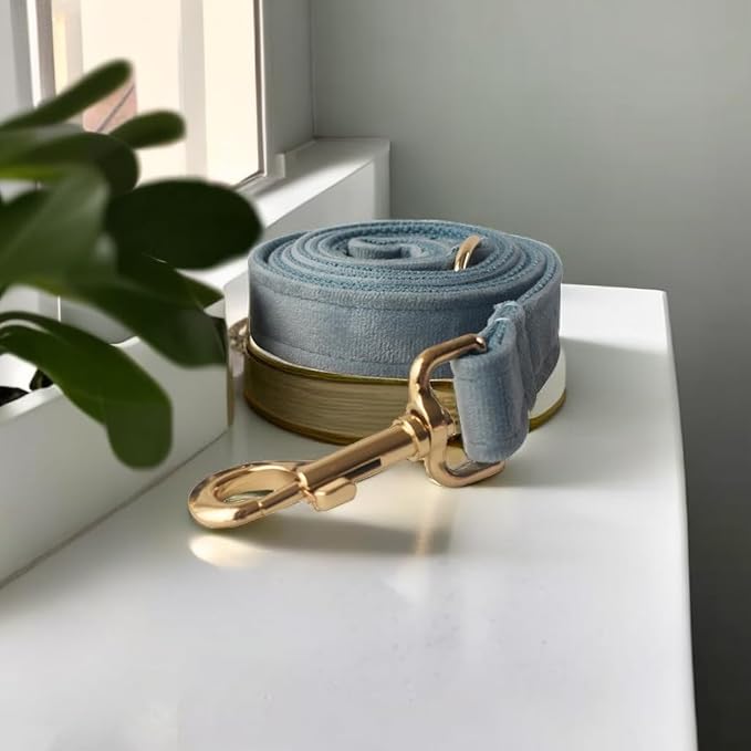 Love Dream Velvet Dog Collar and Leash Set, Soft & Comfy Adjustable Dog Leash and Collar with Heavy Duty Metal Buckle for Small Medium Large Dogs Training & Walking (Medium, Pearl Blue)