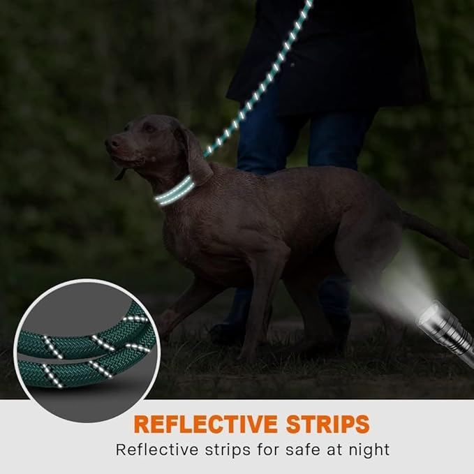 Taglory 16-24" Length, 1" Wide Dog Collar and Leash Set, 1/2" x 6 FT Highly Reflective Threads Dog Leash for Medium and Large Dogs,Turquoise