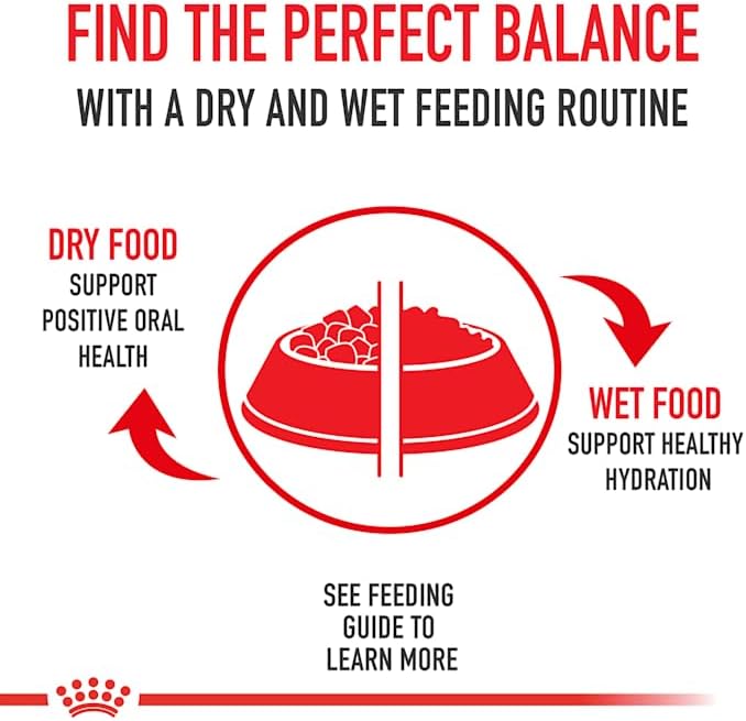 Royal Canin Size Health Nutrition Medium Aging 10+ Senior Dry Dog Food, 30 lb Bag