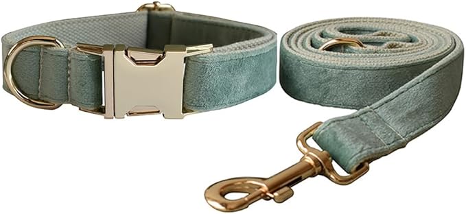 Love Dream Velvet Dog Collar and Leash Set, Soft & Comfy Adjustable Dog Leash and Collar with Heavy Duty Metal Buckle for Small Medium Large Dogs Training & Walking (Medium, Mint Green)
