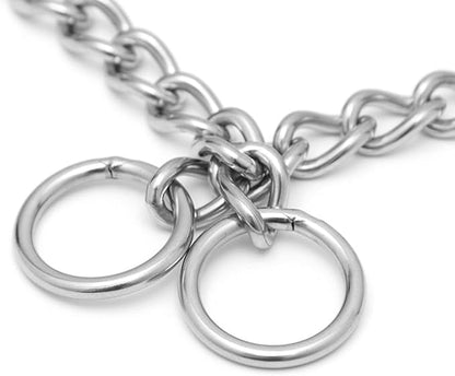 Chain Collar for Dogs,Silver Stainless Steel Training Slip P Choke Puppy Chains Link Martingale Collars for XXS XS Small Medium Large Breed Dogs, L
