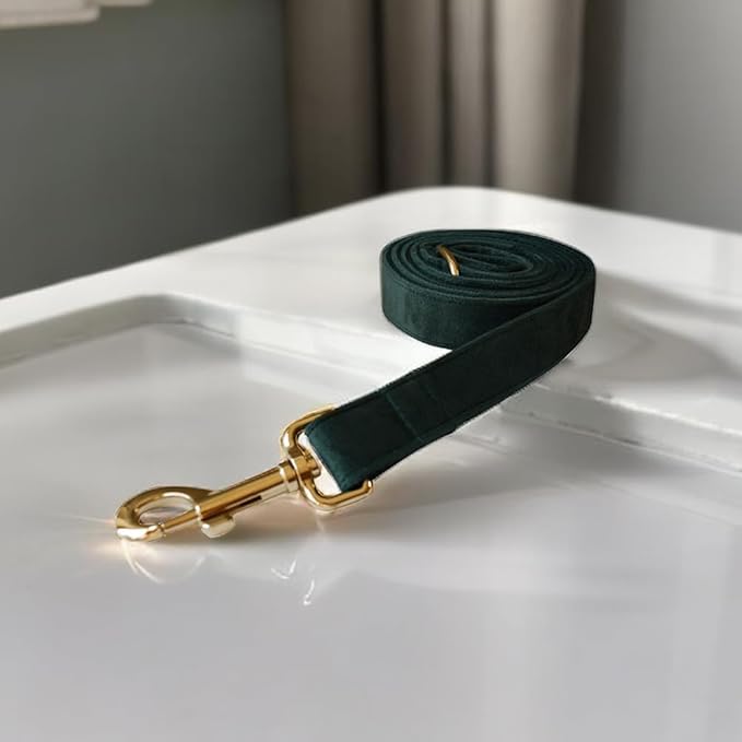 Love Dream Velvet Dog Collar and Leash Set, Soft & Comfy Adjustable Dog Leash and Collar with Heavy Duty Metal Buckle for Small Medium Large Dogs Training & Walking (Small, Green)
