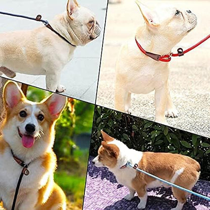 MayPaw Slip Lead Control Leash for Dogs No Pull, 13+ Colors Classic Dog Lead 7FT Pet Slip Leash, 1/4” Rope Leashes for Small Medium Animals (7ft*1/4", Rose red)