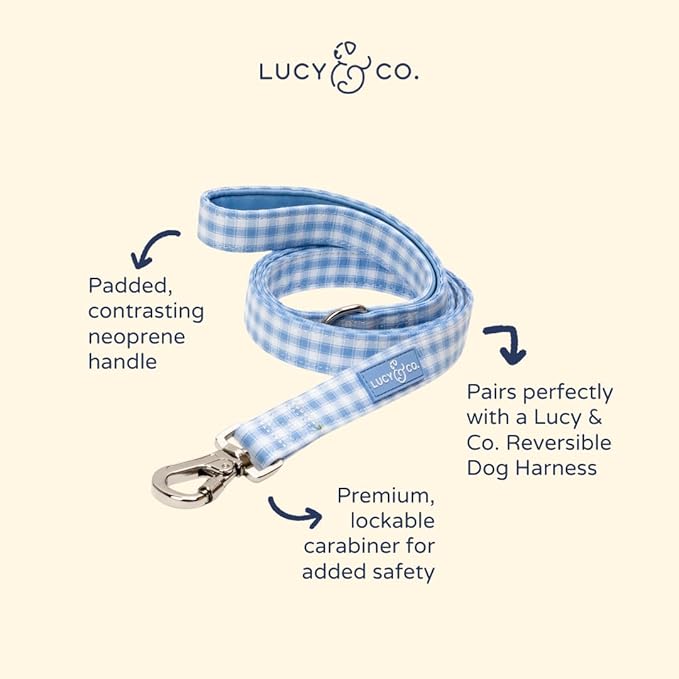 Lucy & Co. Silly Goose Dog Leash, Durable Matching Dog Lead with Heavy Duty Hardware, Small