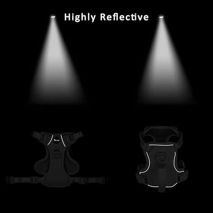 Petmolico Dog Harness for Small Dogs, Cute Harness Vest with Two Leash Clips and Soft Handle, Reflective Easy Walk Puppy Vest - Black Lotus, X-Small