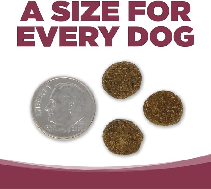 NutriSource Pure Vita Salmon & Kale Dog Food, 12LB