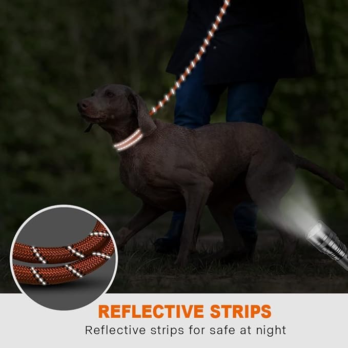 Taglory Rope Dog Leash 5 FT with Comfortable Padded Handle, Highly Reflective Threads Leash and Anti-Tangle Clip for Walking Medium Large Dogs, 1/2 inch, Orange