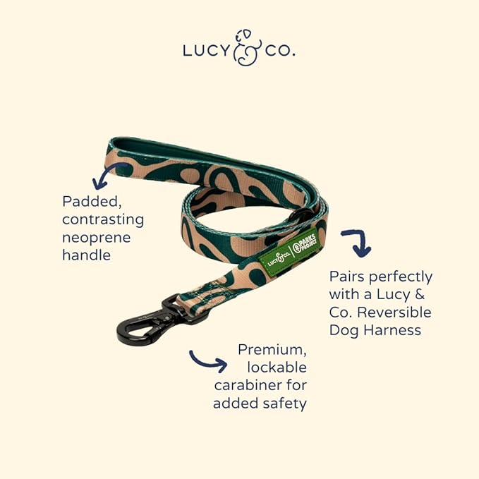 Lucy & Co. x Parks Project Geyser Dog Leash, Durable Matching Dog Lead with Heavy Duty Hardware, Large
