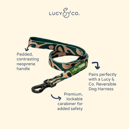 Lucy & Co. x Parks Project Geyser Dog Leash, Durable Matching Dog Lead with Heavy Duty Hardware, Large