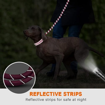Taglory 16-24" Length, 1" Wide Dog Collar and Leash Set, 1/2" x 6 FT Highly Reflective Threads Dog Leash for Medium and Large Dogs,Hotpink