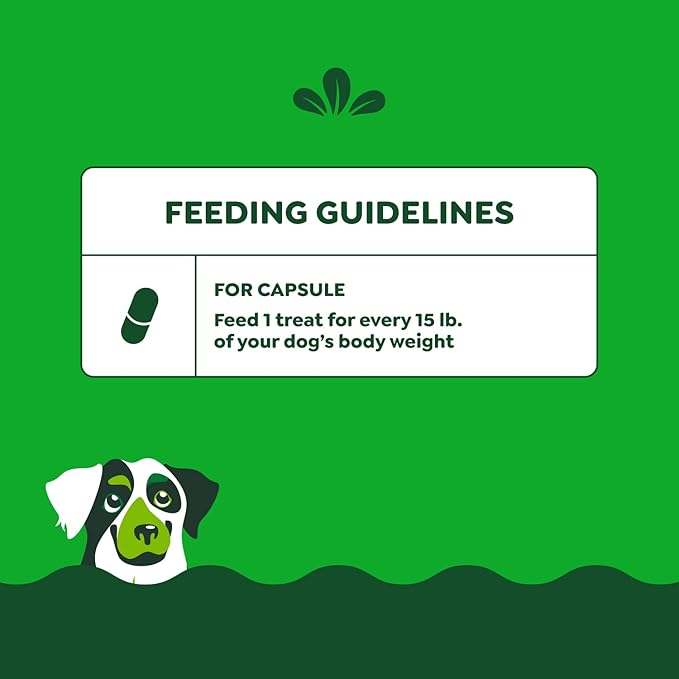 Greenies Pill Pockets for Dogs Large Size, Dog Treat Pouch for Capsule Medication, Peanut Butter Flavor, (6) 7.9 oz. Pouches