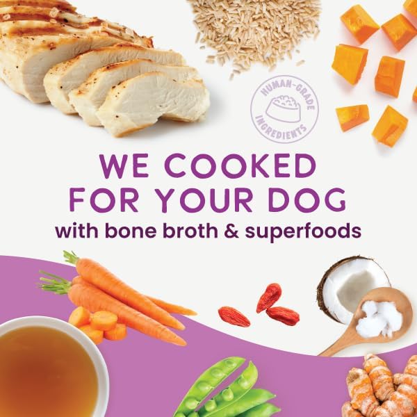 Health Extension Gently Cooked Chicken & Pumpkin Dog Food, Human-Grade & Shelf-Stable with Superfoods, Supports Digestion, Immunity, Skin & Coat, 9 oz Pouch (Pack of 10)
