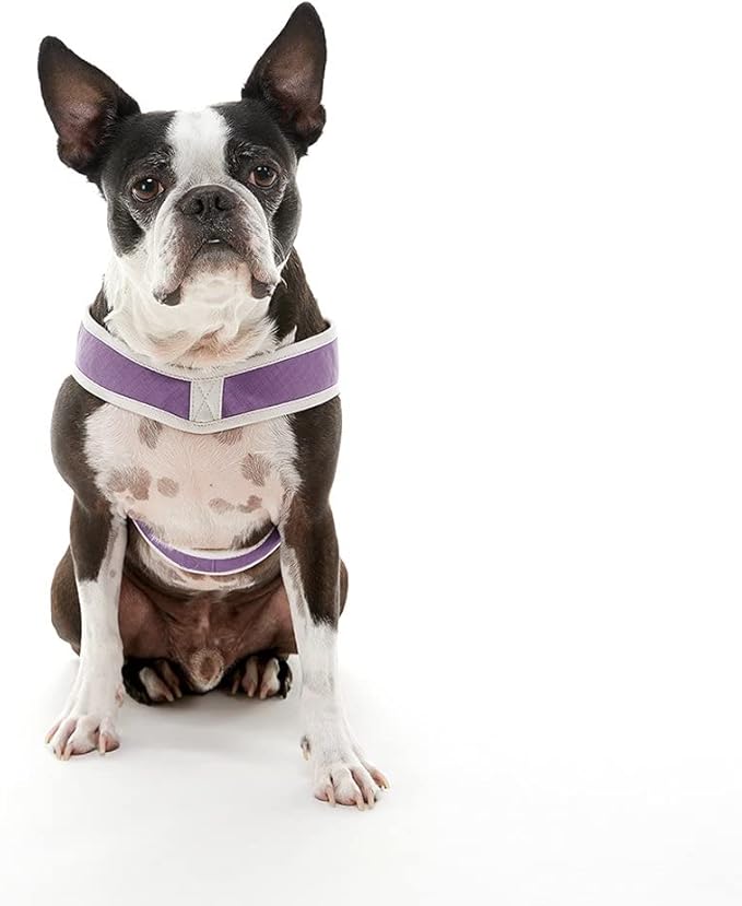 Gooby Simple Step in III Harness - Purple, Large - Small Dog Harness with Scratch Resistant Outer Vest - Soft Inner Mesh Harness for Small, Medium Dogs