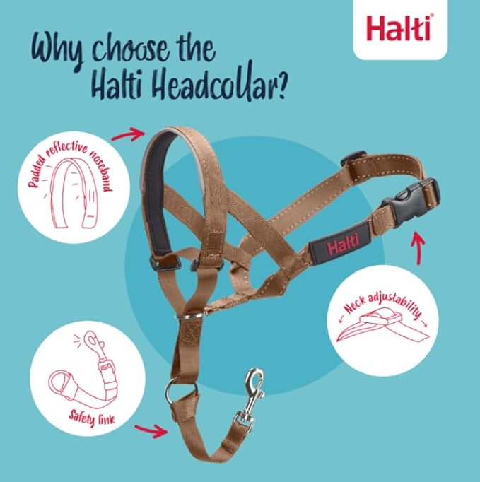 Halti Headcollar - Stop Your Dog Pulling on The Leash. Adjustable, Reflective and Lightweight, with Padded Nose Band. Dog Training Anti-Pull Collar for Medium Dogs (Size 2, Desert Sand)