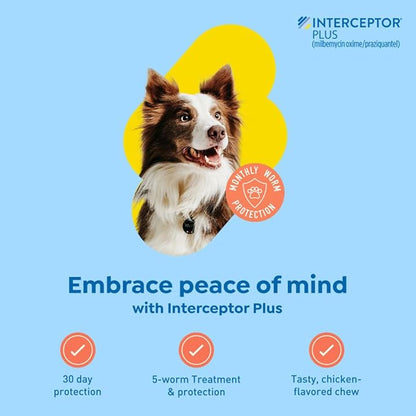 Interceptor Plus Prevention for Heartworm + 4 Other Worms for Dogs 25.1-50 lbs. | 6 Chews, 6-Month Supply