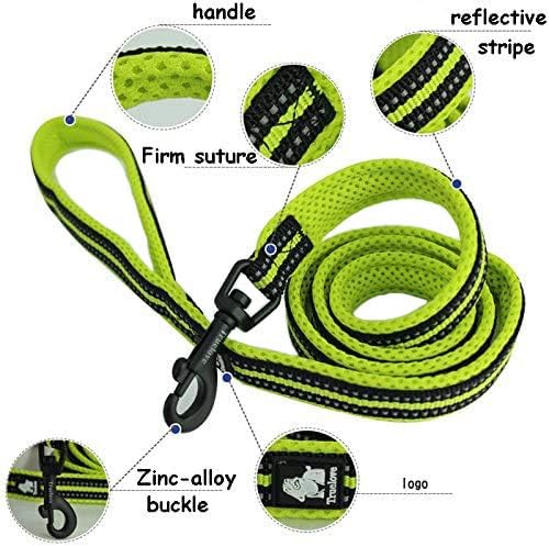 Creation Core Reflective Nylon Dog Harness and Training Leash Set Padded Durable Adjustable, Orange M