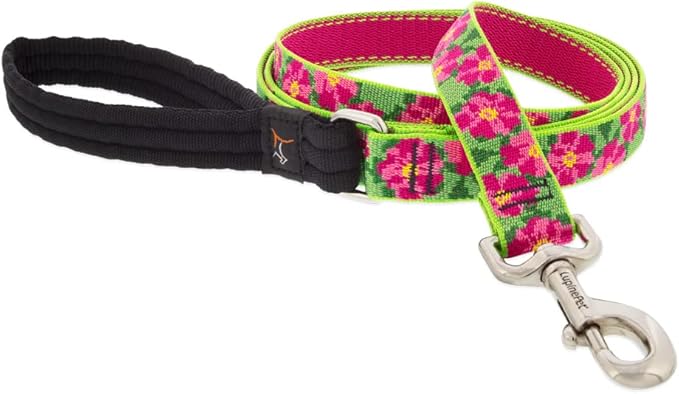 Lupine Dog Leash 4-Foot by 1" Wide PetuniasÊ