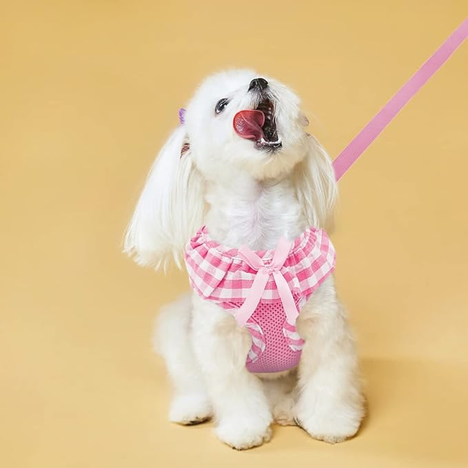 EXPAWLORER Cute Dog Harness and Leash Set - Pink Girl Dog Harness Checkered Step-in Design, Easy Adjustable No-Choke Lightweight Breathable Vest for Puppy Small Dogs Cats Outdoor Walking, Small