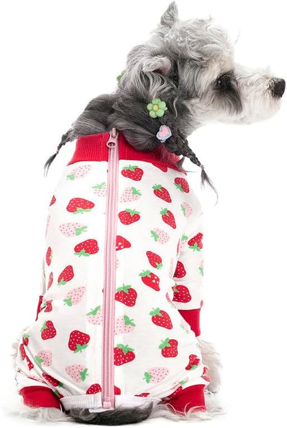 Dog Surgery Recovery Suit, Dog Onesie for Surgery Female Male Dogs, Dogs Pajamas Long Sleeve, Small Dogs Onesie, Abdominal Wound Bandages Surgical Suit, Cat Recovery Suit for Shedding Skin Disease