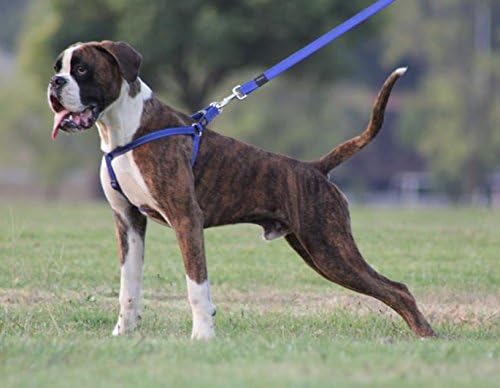 Reflective Adjustable Dog Step in Harness for Medium Dogs; matching collar and leash available, Orange