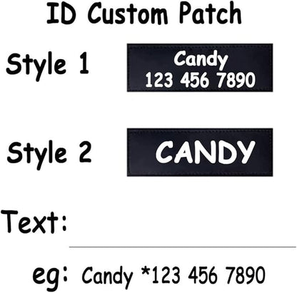 Moonpet Personalized No Pull Dog Harness Leash Set with Custom Name and Phone Number, Heavy Duty Pet Vest to Prevent Tugging, Pulling, or Choking, Training and Walking (XS-XXL, 9 Colorful)