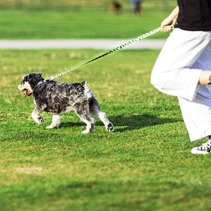 azuza Dog Collar and Leash Set, Fun Avocado Patterns on Nylon Collar and Matching Leash, Great Option for Large Dogs
